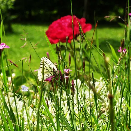 Apartamento Capucine